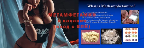 шишки Сясьстрой