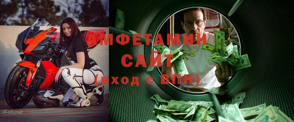 шишки Сясьстрой